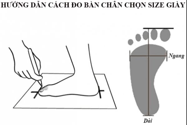 hướng dẫn đo size giày