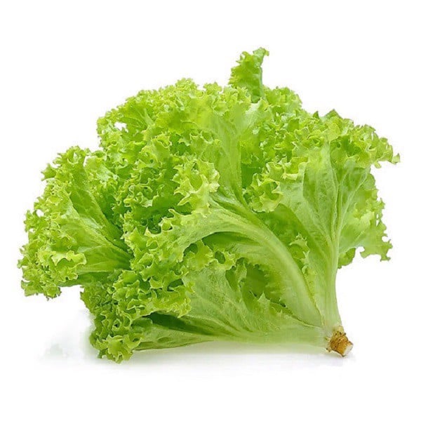 Xà lách lô lô hữu cơ 250g