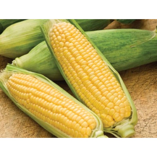 Bắp ngọt hữu cơ 500g