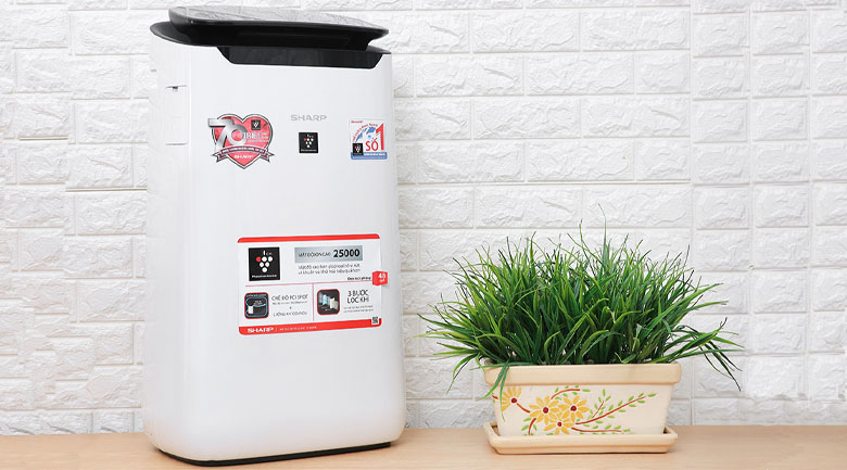 Máy lọc không khí hãng nào tốt? Top 5 thương hiệu máy lọc không khí tốt, chất lượng