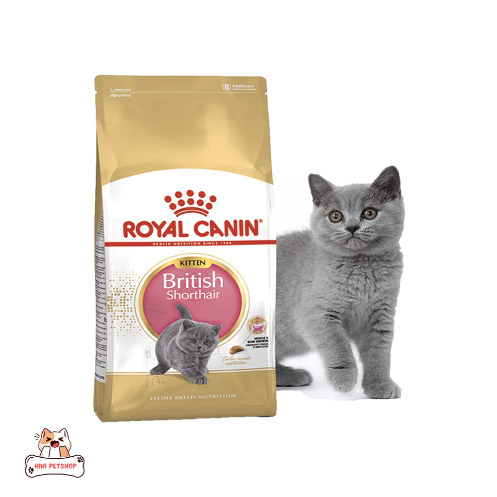 Hạt Royal Canin British Shorthair Kitten